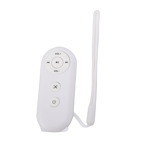 Portable car player - cd,